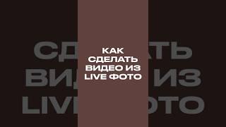 Как сделать видео из Live фото на iPhone #shorts #apple #iphone