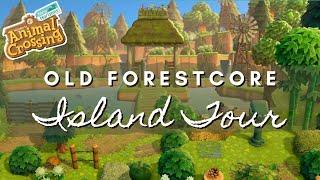 OLD FORESTCORE ISLAND TOUR (USING 2.0 UPDATE ITEMS!) | Animal Crossing New Horizons