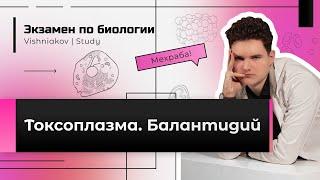 Экзамен по биологии | ТОКСОПЛАЗМА. БАЛАНТИДИЙ