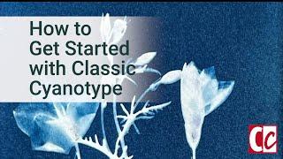 How to Get Started with Classic Cyanotype