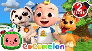 Puppies Like to Play Too! | CoComelon Animal Time | Animal Nursery Rhymes