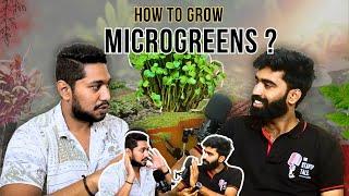 This is easy profitable business in india , work from home , microgreens, covid