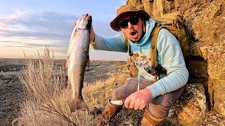 BIG Trout Fishing in a REMOTE Desert Creek!!! (Catch & Cook)