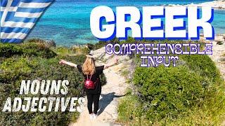 Learn the Greek nouns and adjectives in a natural way| Do You Speak Greek?