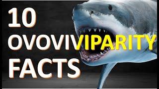 Ovoviviparity | What is OVOVIVIPAROUS?