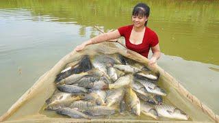 FULL VIDEO: Harvest Many Fish, Peanuts, Squash Go To Countryside Market Sell || Free Bushcraft