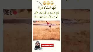 Best video Viral # viral shots #viral video#trending#YouTube shorts #subscribe#my YouTube channel