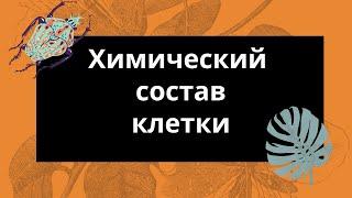 Химический состав клетки