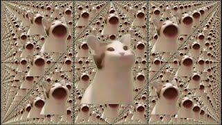 Pop cat 62,768,369,664,000‬ times