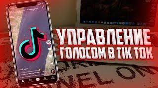 Как управлять Tik Tok с помощью голоса на iPhone? Листай Тик Ток без рук!