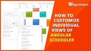 How to Customize Individual Views of Angular Scheduler