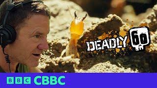 Strange sounds from a Termites Nest | Deadly 60 | CBBC