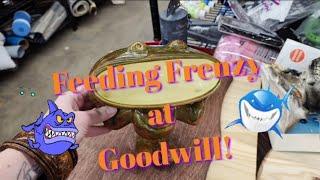 Feeding Frenzy at Goodwill! - Shop Along With Me - Goodwill Thrift Store