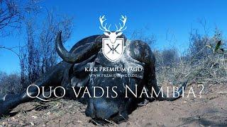 Quo vadis Namibia? Jagd auf Büffel & Antilope. Welche Herausforderungen warten auf Jäger in Namibia?