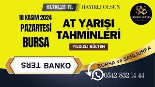 18 kasım 2024 pazartesi BURSA At Yarışı Tahminleri