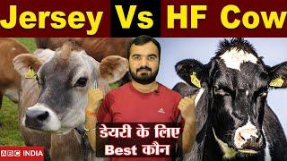 Jersey Cow Vs HF Cow | डेयरी फार्म के लिए कौन सी गाय सही ? | Best Cow Breed For Dairy Farm |CowMilk
