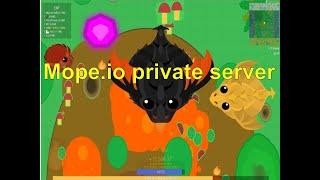 mope io private server|| mope io sandbox