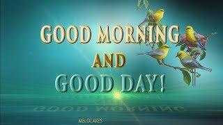  Good Morning and Good Day4K Animation Greeting Cards