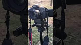 Canon 600D DSLR Camera Review #shorts  Video Used Like New Camera Youngnuo lens #bangladesh