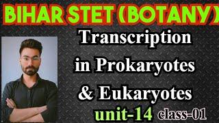 Transcription in Prokaryotes and Eukaryotes #2024  #ncert  #botany #bstet #neet #myogenicabhishek