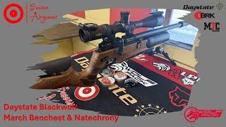 Daystate Blackwolf  - March Benchrest Card & Natechrony