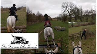 Last Bloodhound Meet of the Season - Galloping and Jumping over the Scenic Cotswolds | Equestrian