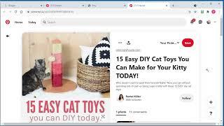 How to Extract Pinterest Pins using the Content Tool - Pin Inspector