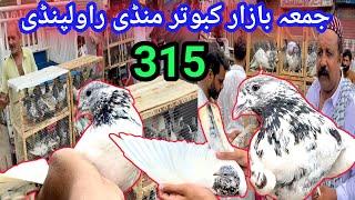 315 | Juma Bazar Kabootar Mandi Rawalpindi | Latest Update High Flyer Pigeon Market Price 16/8/2024