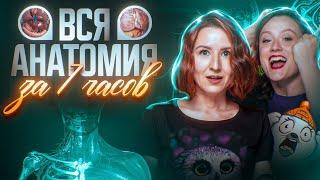 Вся анатомия за 7 часов | ЕГЭ-2025 по биологии