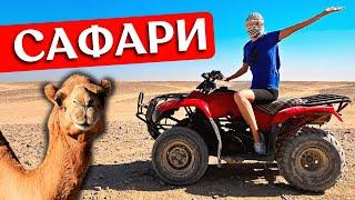 EGYPT 2023: quad bike safari - excursion in Hurghada review | Desert, camels, Bedouins