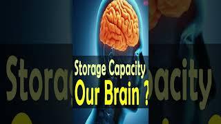 How  Brain works ? | Interesting Facts | Zoology,Bio-Zoology | tn 11th and 12th | samacheer kalvi |