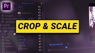 How to CROP & SCALE (Premiere Pro Tutorial)