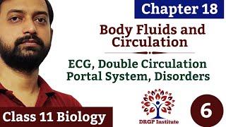 Chapter 18 | Body Fluids and Circulation - 06 | ECG Double Circulation | Portal System | Class 11