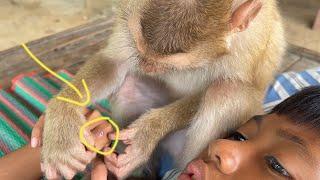 Amazing Zueii Wants To Heal Her Brother's Wounds| Monkey Grooming