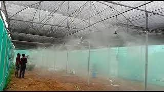 4 WAY FOGGER FOR POULTRY FARMS ||AUTOMAT COMPANY|| NATURE'S POWER |VIJAYAWADA| CONTACT PH:9848045044