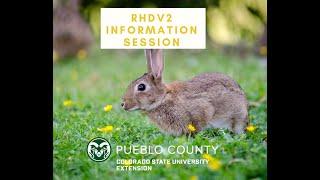 Rabbit Hemorrhagic Disease Zoom Session (RHDV2)