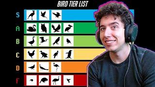 The Bird Tier List - TierZoo | Reaction