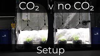 CO₂ Vs no CO₂ grow test