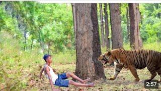 Tiger attack man in the wild jungle | tiger attack man in the forest | part 1