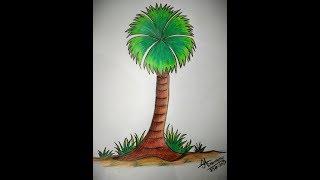 How to draw a palm tree(তালগাছ) with simple steps