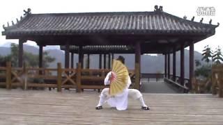 Amazing Wudang Fan Performance