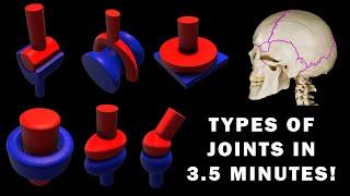 JOINT ANATOMY in 3.5 MINUTES!