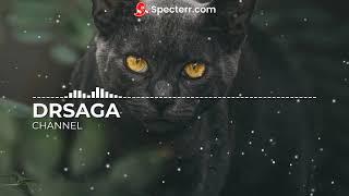 DRSAGA-Seleno | No Copyright Music