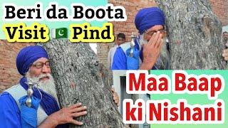 Meri Maa Baap ki Nishani Beri Da Boota || Sardar ji Visits Pakistani Pind After 75 years