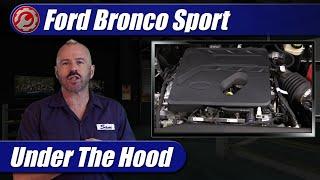 2021-2022 Ford Bronco Sport 1.5T: Engine Explained