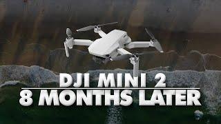 DJI Mini 2 - 8 Months Later Review + Mavic Mini Comparison | DansTube.TV