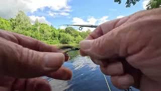 Salmon fishing on the River Ericht Fishing second trip