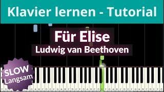 Für Elise | Ludwig van Beethoven - LANGSAM - Klavier üben #mitmir  Felicitas Falke 