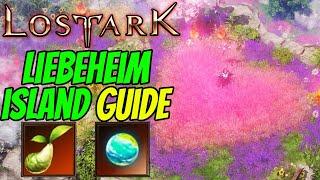 LOST ARK - LIEBEHEIM ISLAND SOUL GUIDE & ALL MOKOKO SEED LOCATIONS