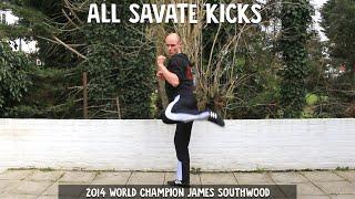 All the Savate kicks (and their names).